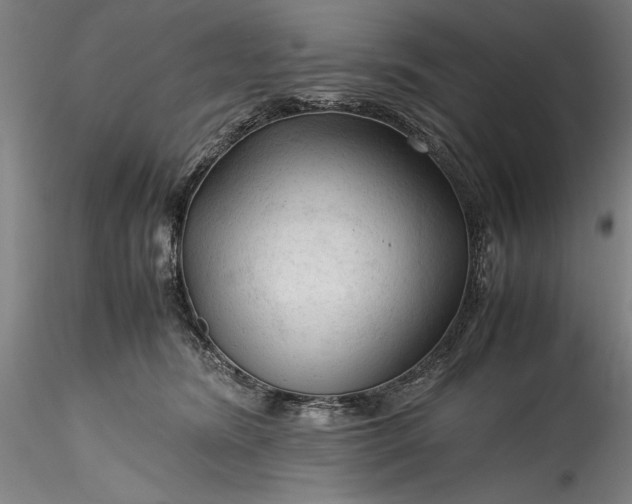 X0000115800420200911271255