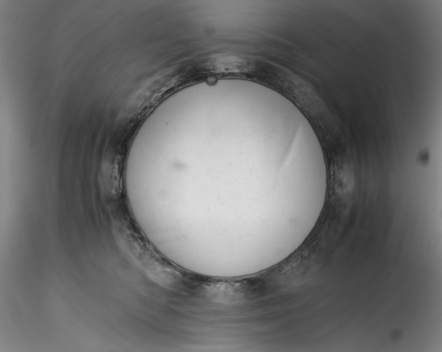 X0000115800422200911271255