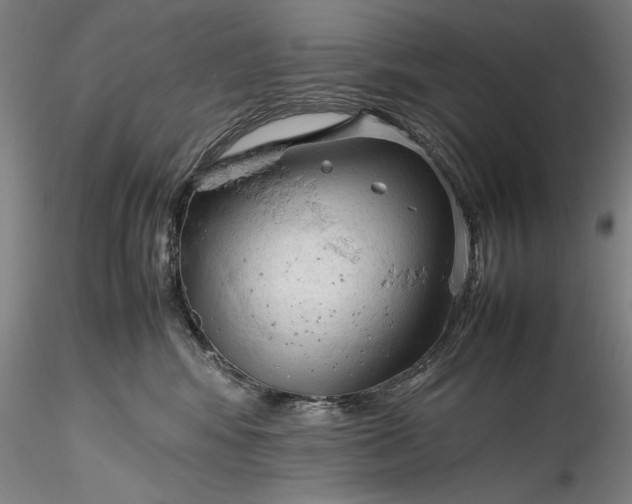 X0000115800424200911271255