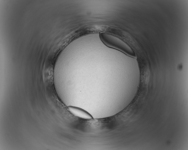 X0000115800425200911271255