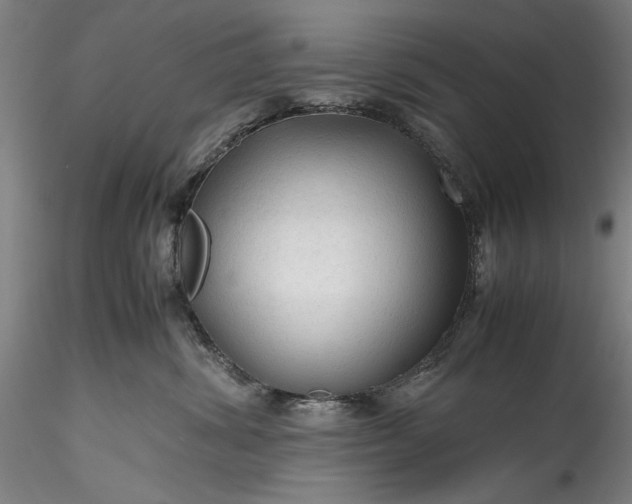 X0000115800428200911271255