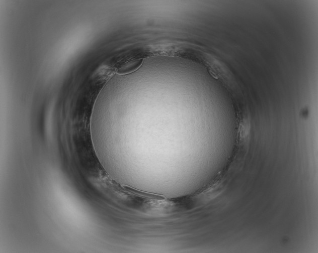 X0000115800429200911271255