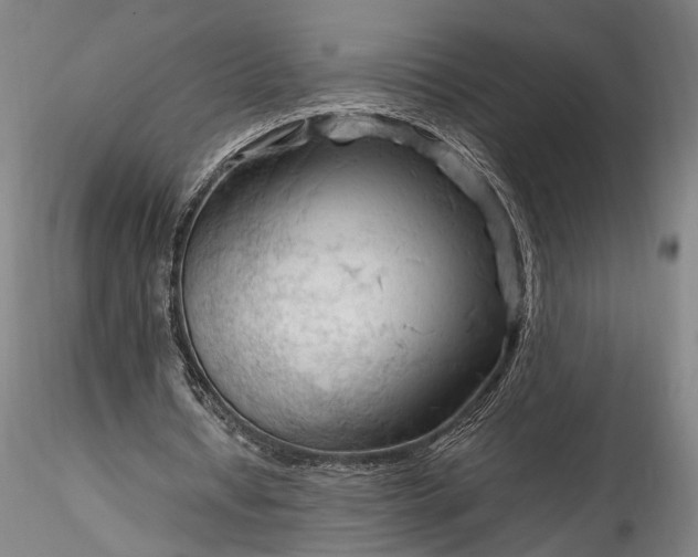 X0000115800434200911271254