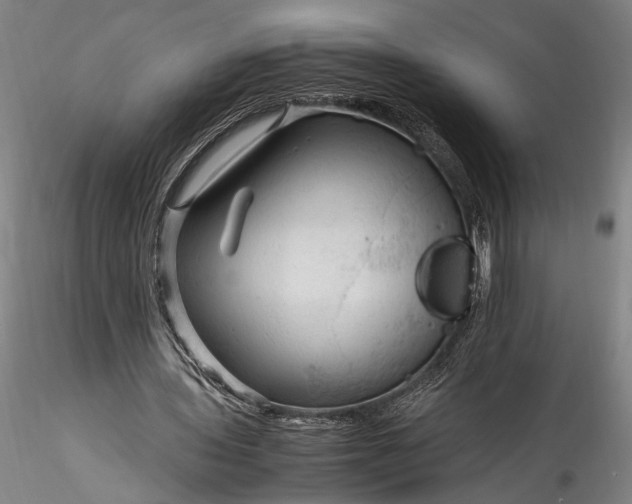 X0000115800435200911271254