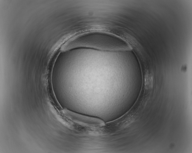 X0000115800436200911271254