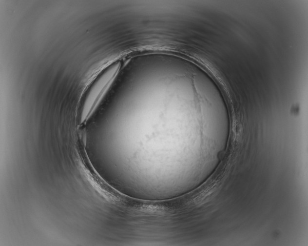 X0000115800437200911271254