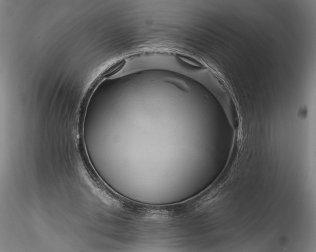 X0000115800438200911271254