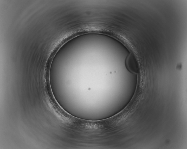 X0000115800439200911271254