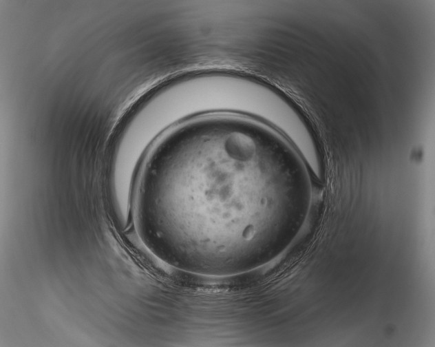 X0000115800440200911271254