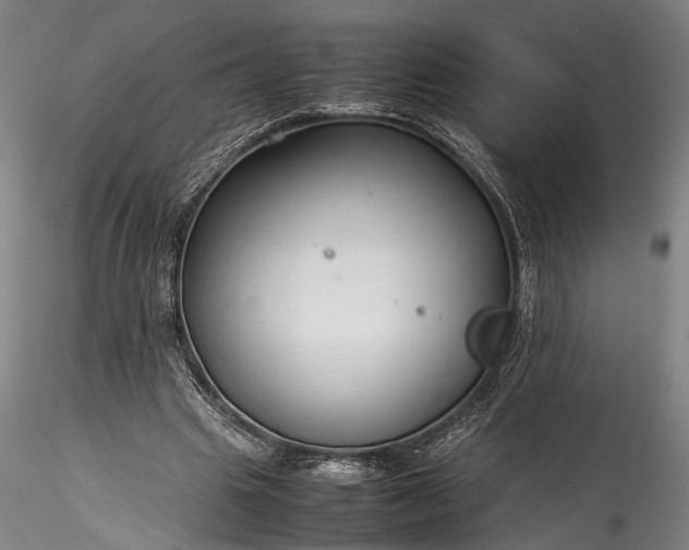 X0000115800441200911271254