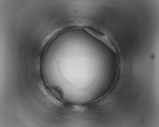 X0000115800442200911271254