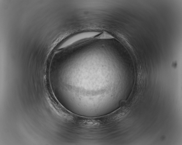 X0000115800443200911271254