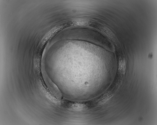 X0000115800444200911271254