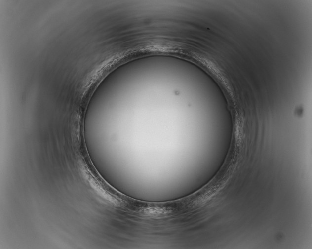 X0000115800445200911271254