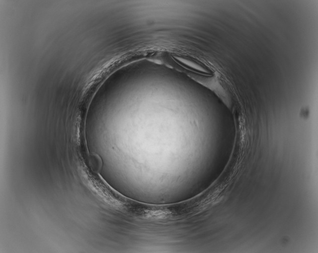 X0000115800446200911271254