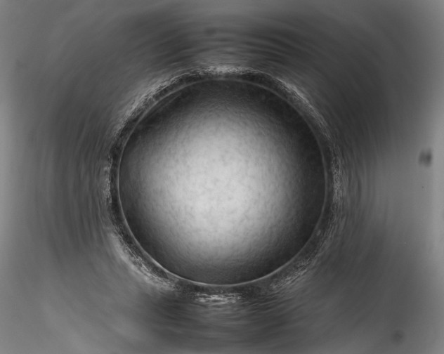 X0000115800447200911271254