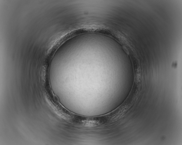 X0000115800448200911271254