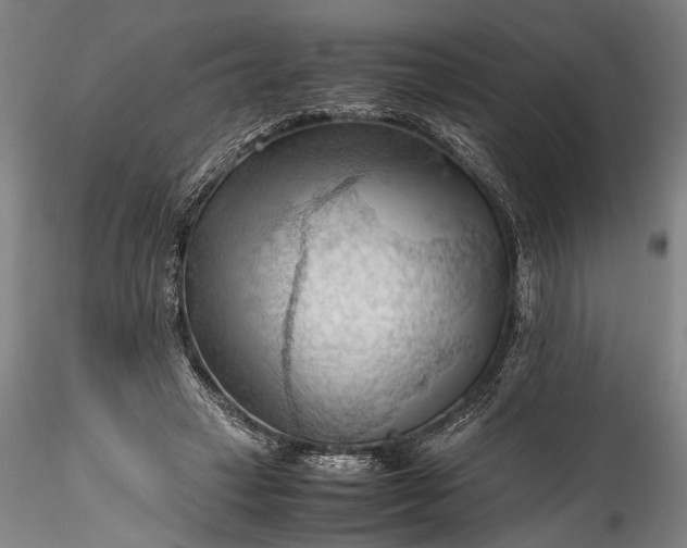 X0000115800449200911271254