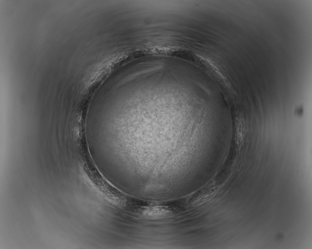 X0000115800451200911271254