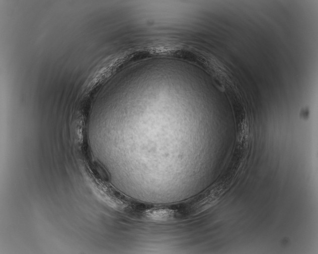 X0000115800452200911271254