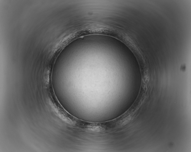 X0000115800454200911271254