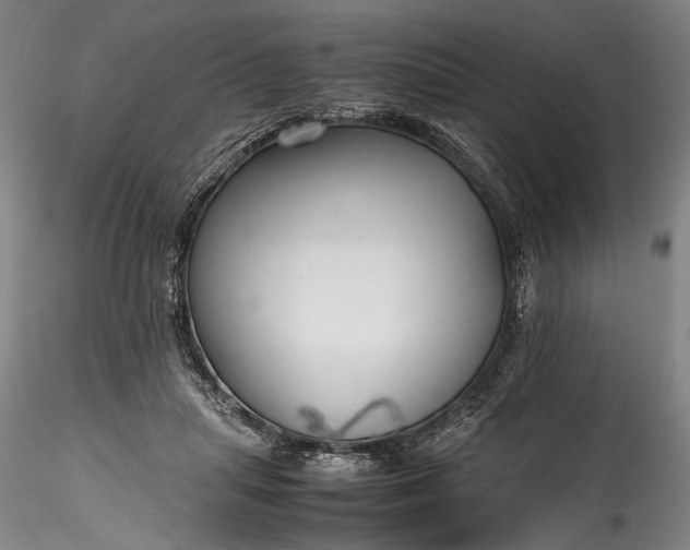 X0000115800455200911271255