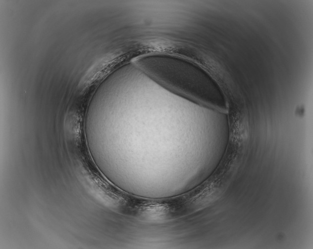 X0000115800456200911271255