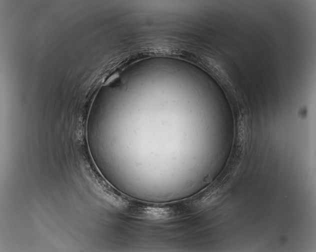 X0000115800457200911271255