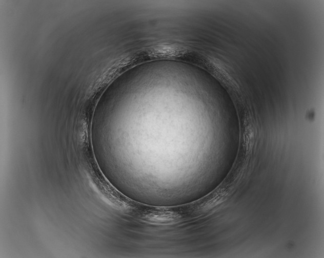 X0000115800459200911271255