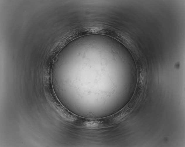 X0000115800461200911271255