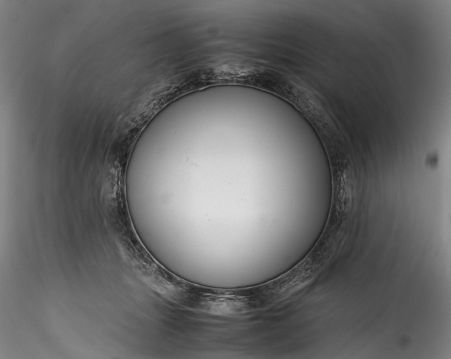 X0000115800463200911271255