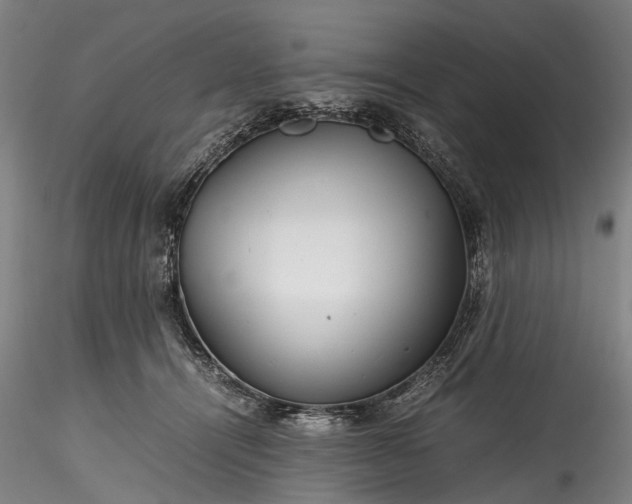 X0000115800464200911271255