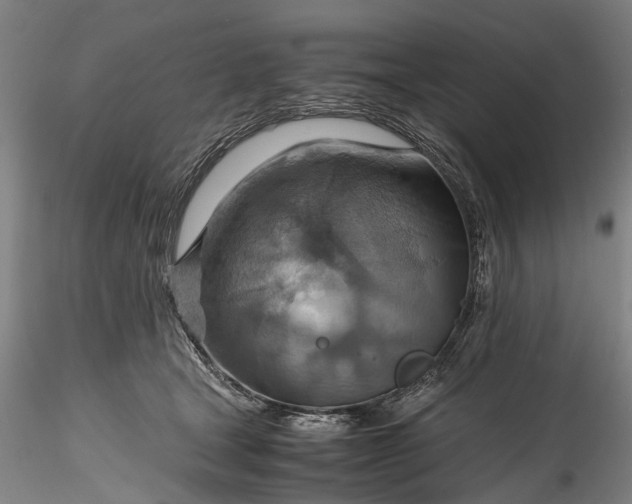 X0000115800465200911271255