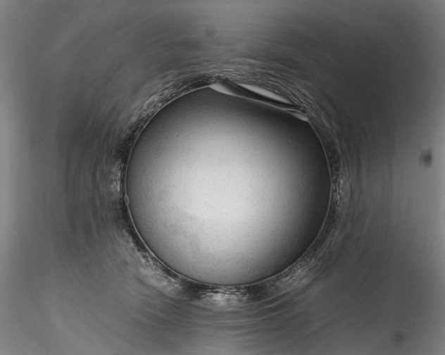 X0000115800466200911271255