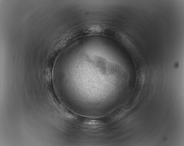 X0000115800467200911271255