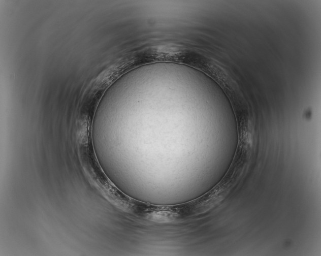 X0000115800468200911271255