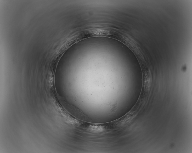 X0000115800469200911271255