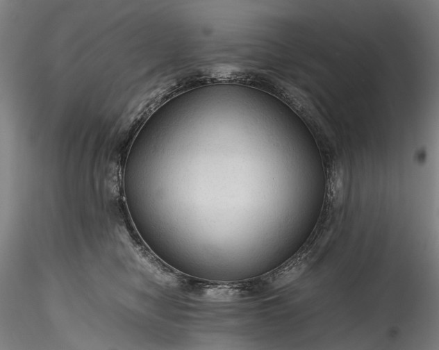 X0000115800470200911271255