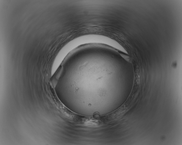 X0000115800471200911271255