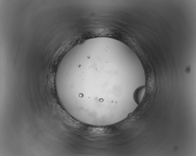 X0000115800473200911271255