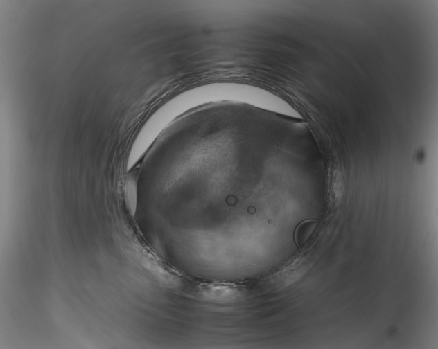 X0000115800475200911271255