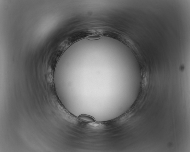 X0000115800477200911271255