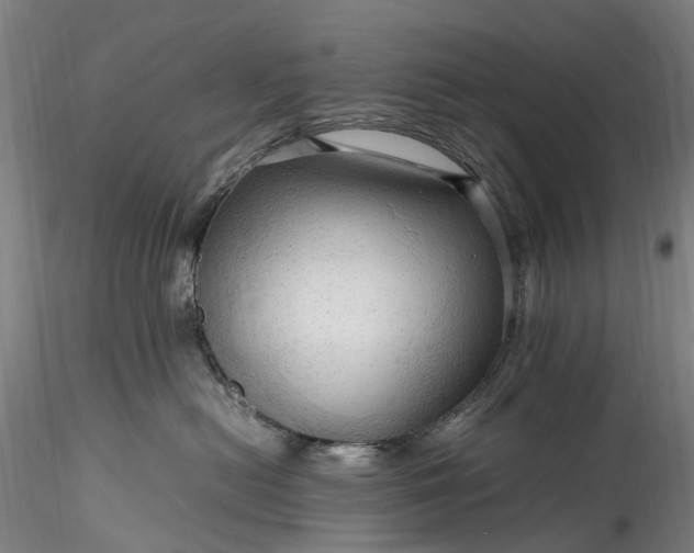 X0000115800478200911271255