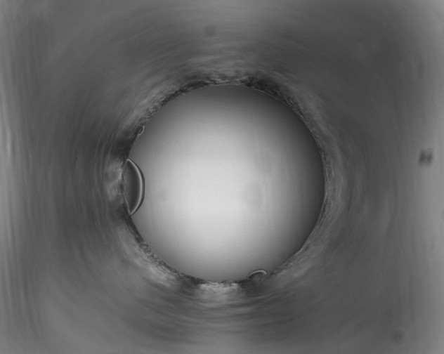 X0000115800480200911271255