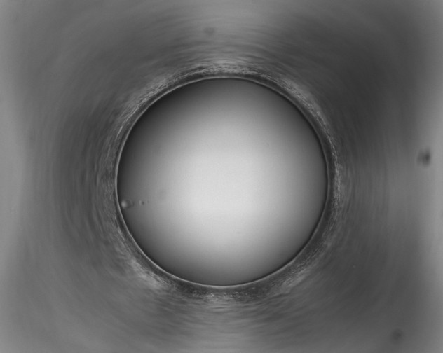 X0000115800481200911271254