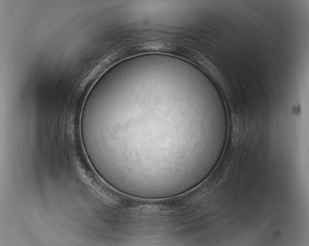 X0000115800482200911271254