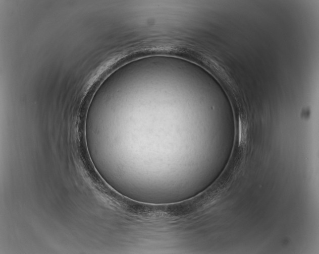 X0000115800483200911271254