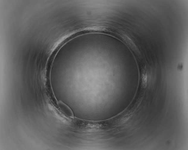 X0000115800484200911271254