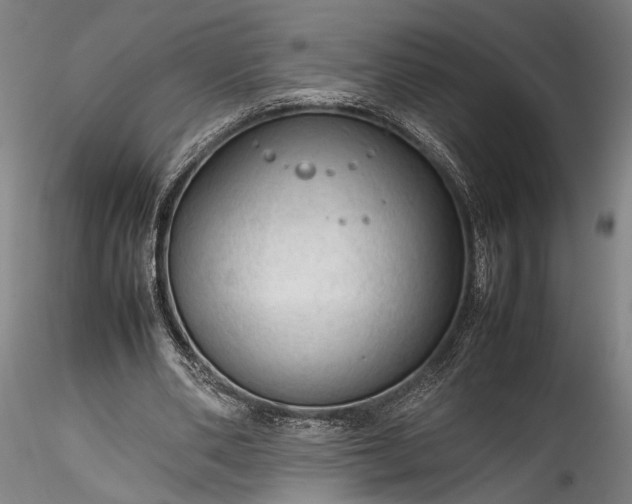 X0000115800486200911271254