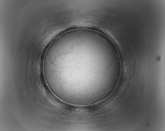 X0000115800487200911271254